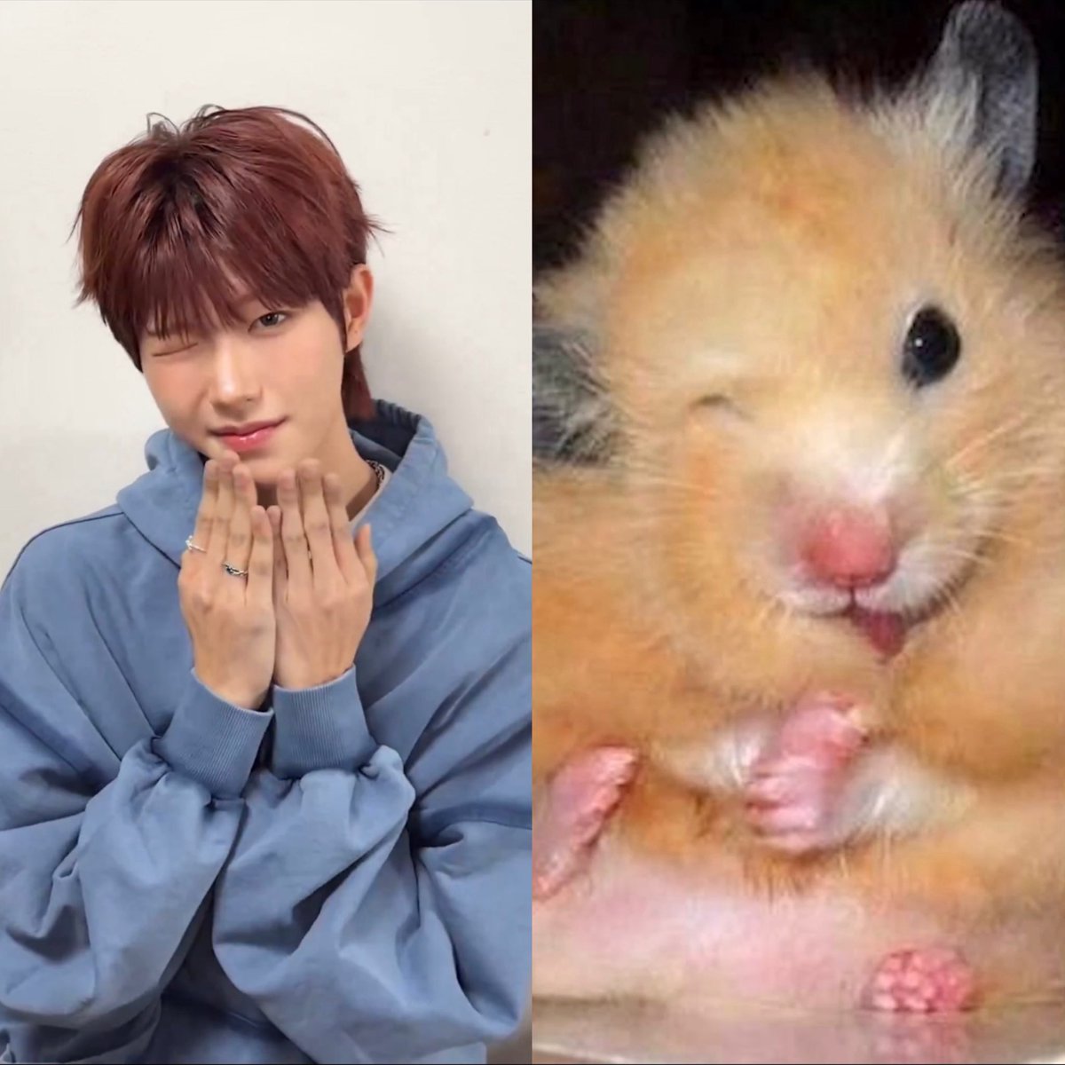 야물딱 tweet media