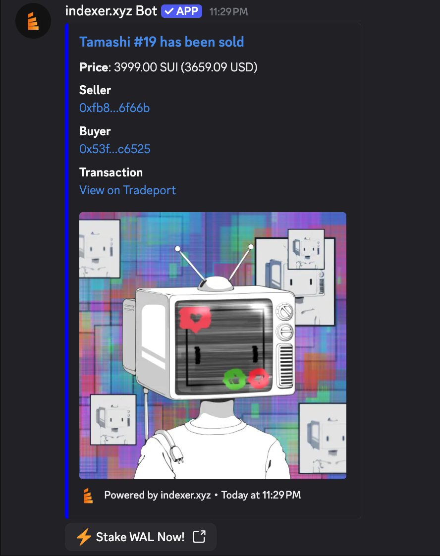 kotaro 🤖 tweet media