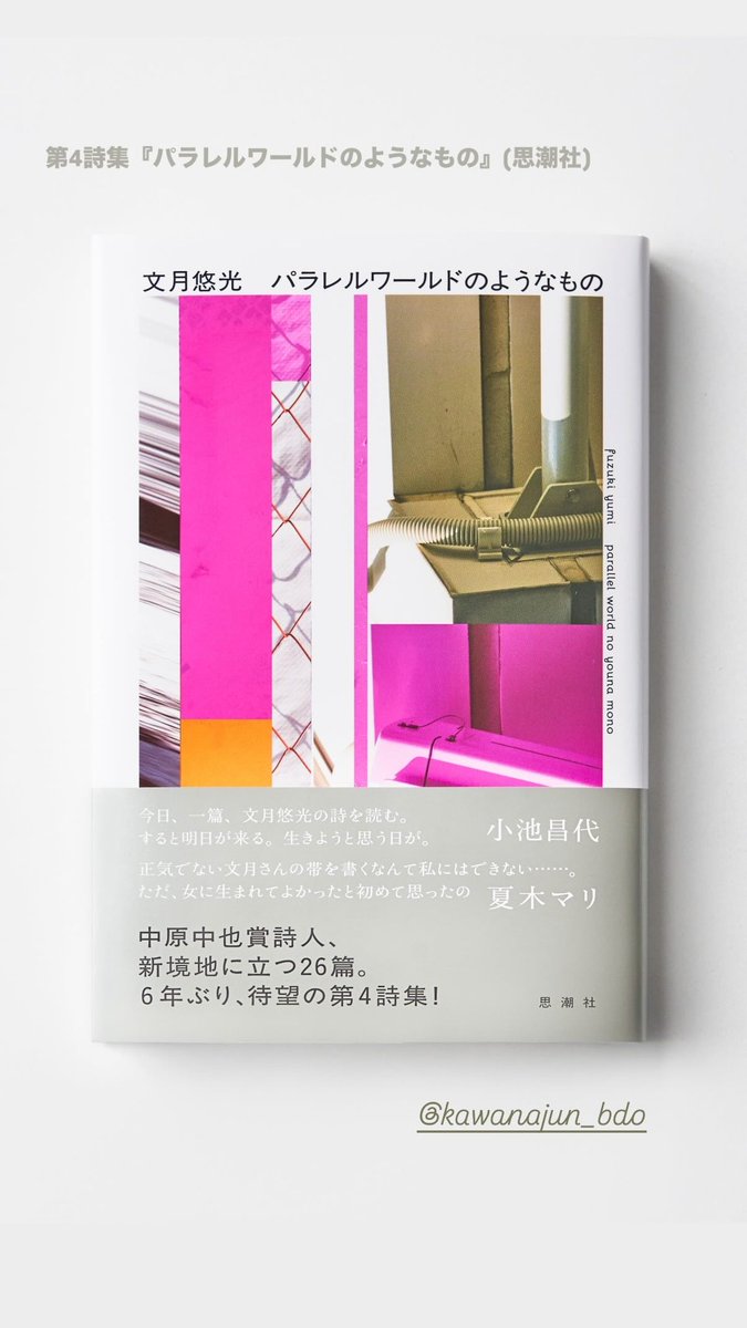 luna_yumi's tweet photo. 詩集『パラレルワールドのようなもの』、エッセイ集『洗礼ダイアリー』。この2作の装丁は、川名潤さんに手がけて頂きました。
『洗礼ダイアリー』のときに初めて事務所に伺った際、川名さんの手から紙の上に次々にアイディアが生まれた時間を今でもよく思い出します✍️ https://t.co/OTTI9rncdP