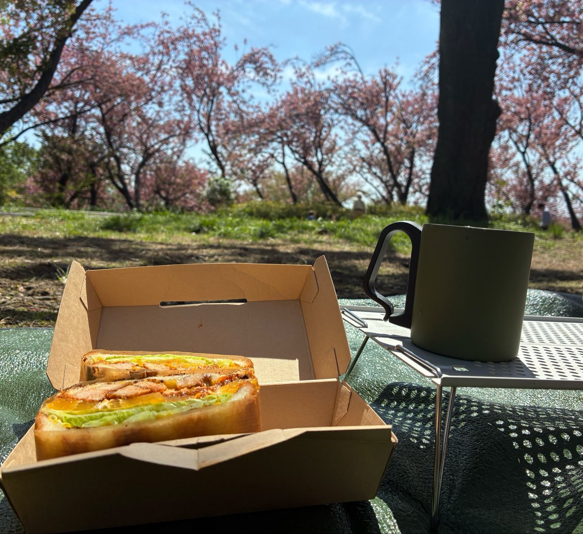 皮しばき tweet media