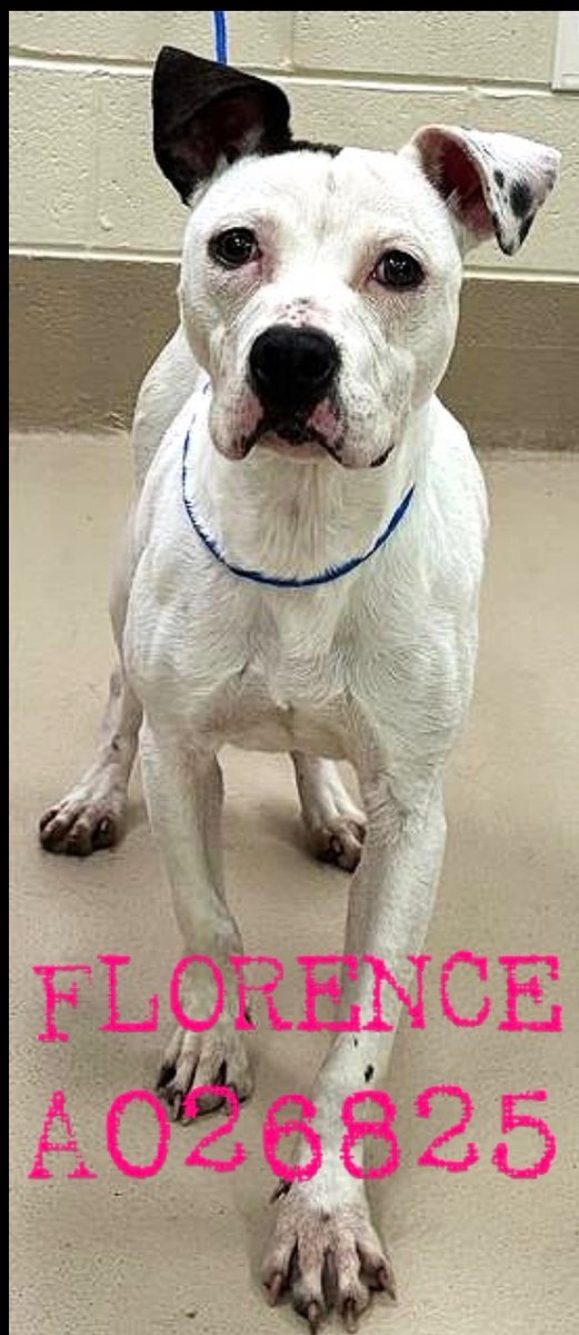 Fionaismybitch tweet media