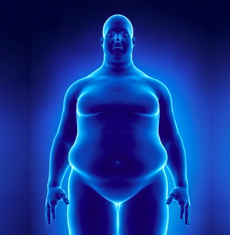 Hambrunas 🌿y G🌎rdit🌎s 🥕 Fundaci🥯n tweet media