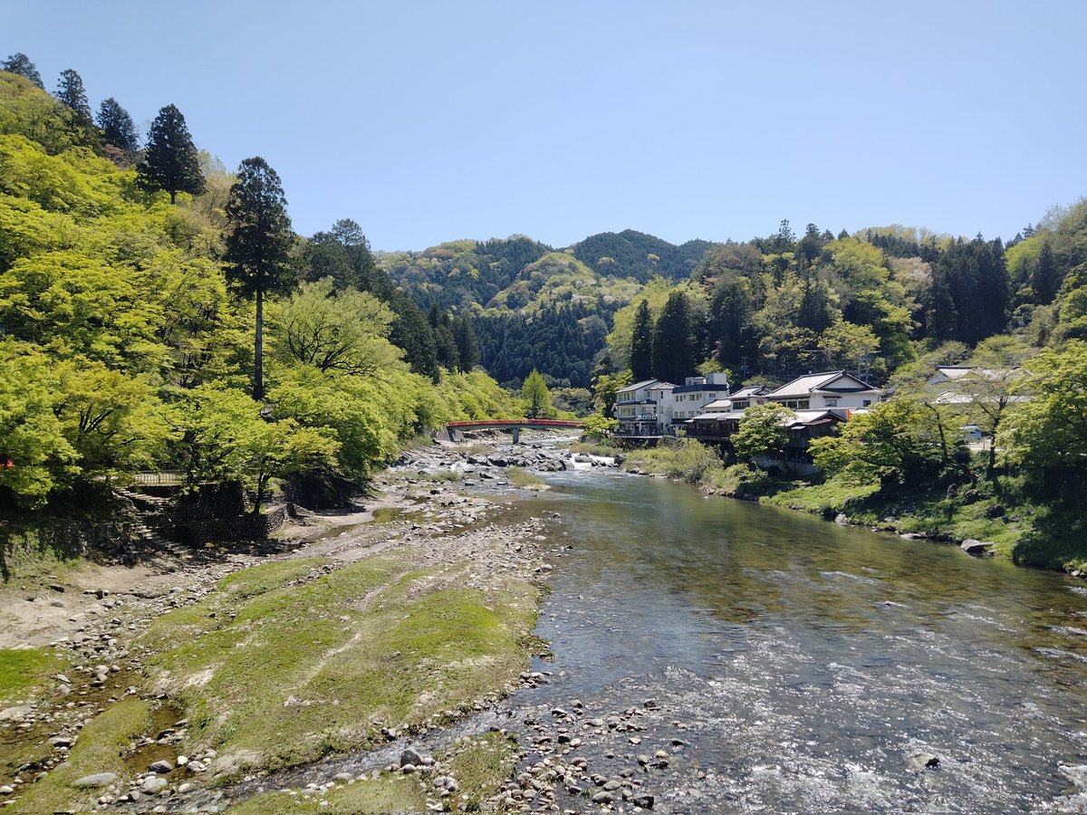 ぽっぽファクトリー🐣 tweet media