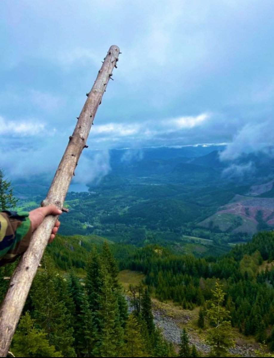 PNWG_Nature tweet media