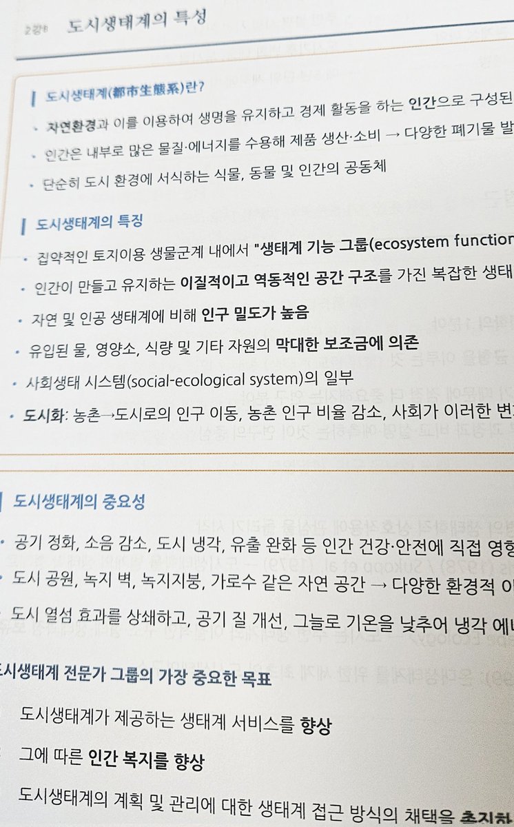 김하치 tweet media