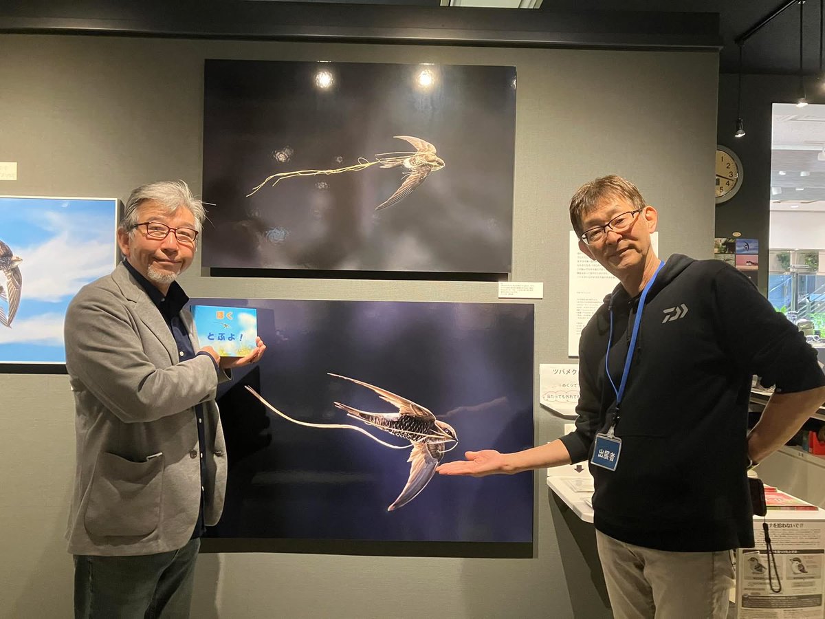 今日これから有楽町のビックカメラでトーク！その前に新宿で佐藤信敏さんの写真展　つばめ日和　に行ってきましたが工事のせいで45分も迷っちまったぜよ〜！
なかなか面白い趣向の凝らした写真展です。是非足を運んで下さい。明日が最終日、急げ〜
ジジはこれから頑張ります。
#ビックカメラ有楽町店