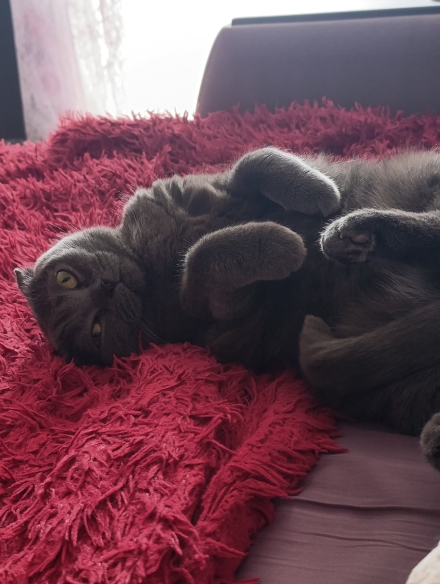 Женя tweet media