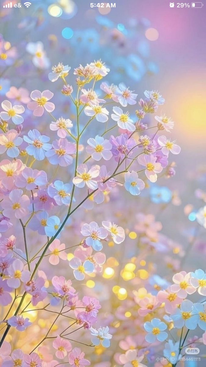 Eng.Ahmed tweet media