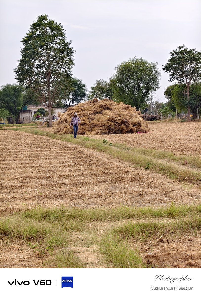 किसान सिर्फ 25/30 दिन काम करता हैं साल में, बाकी समय मौज करता है, सौजन्य से =अनुभवी किसान भजन लाल जी महाराज 😂