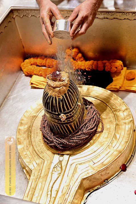 eOrganiser's tweet image. Today’s Mangala Aarti Darshan at Shri Kashi Vishwanath Mandir, Varanasi, Uttar Pradesh.

#KashiVishwanath #Varanasi