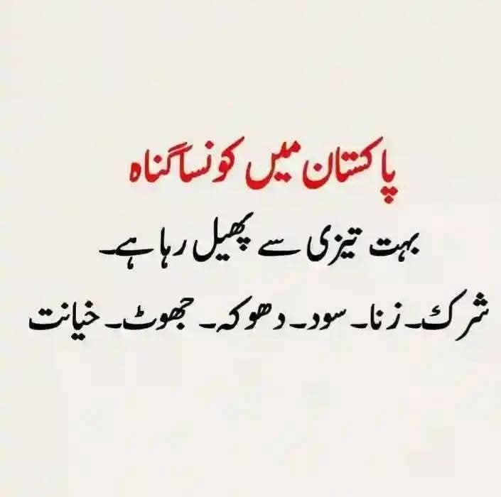 رقیہ پشاوری tweet media