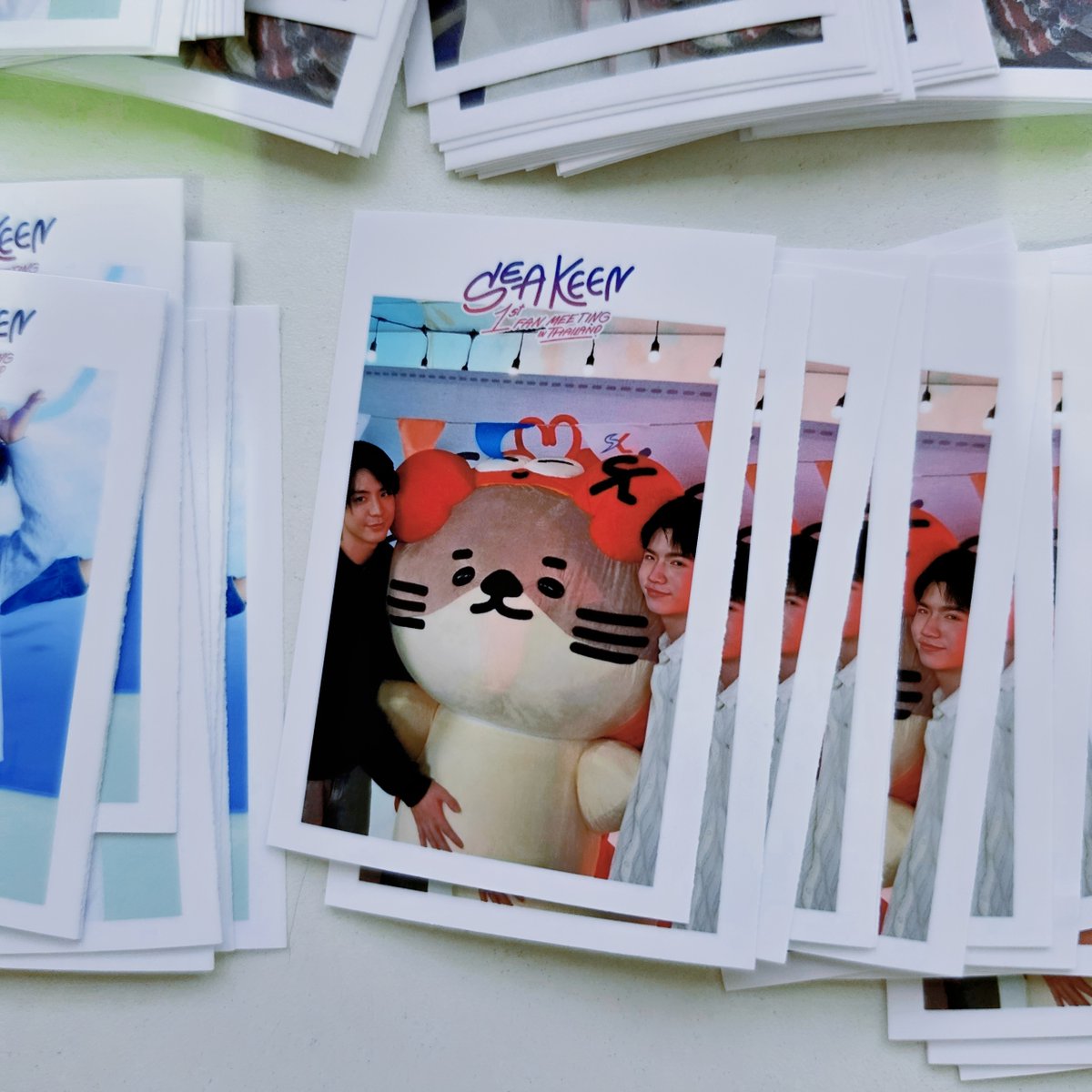 poly.polaroid tweet media