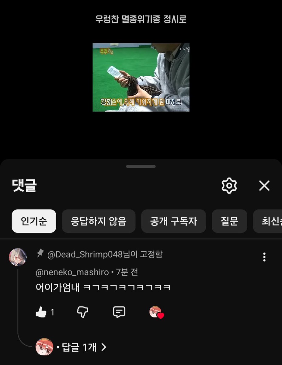 데드쉬림프🍤 tweet media