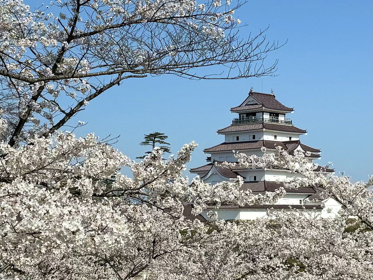 とも。 tweet media