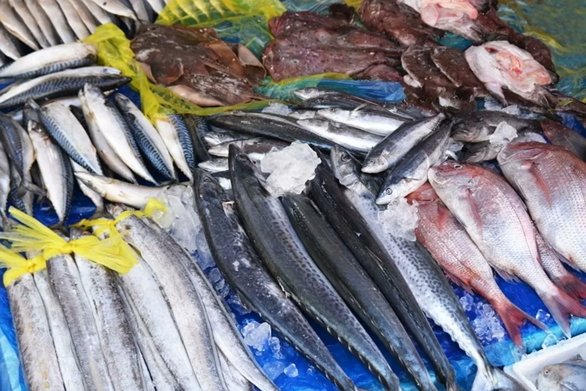 自由の声(자유의 목소리) tweet media