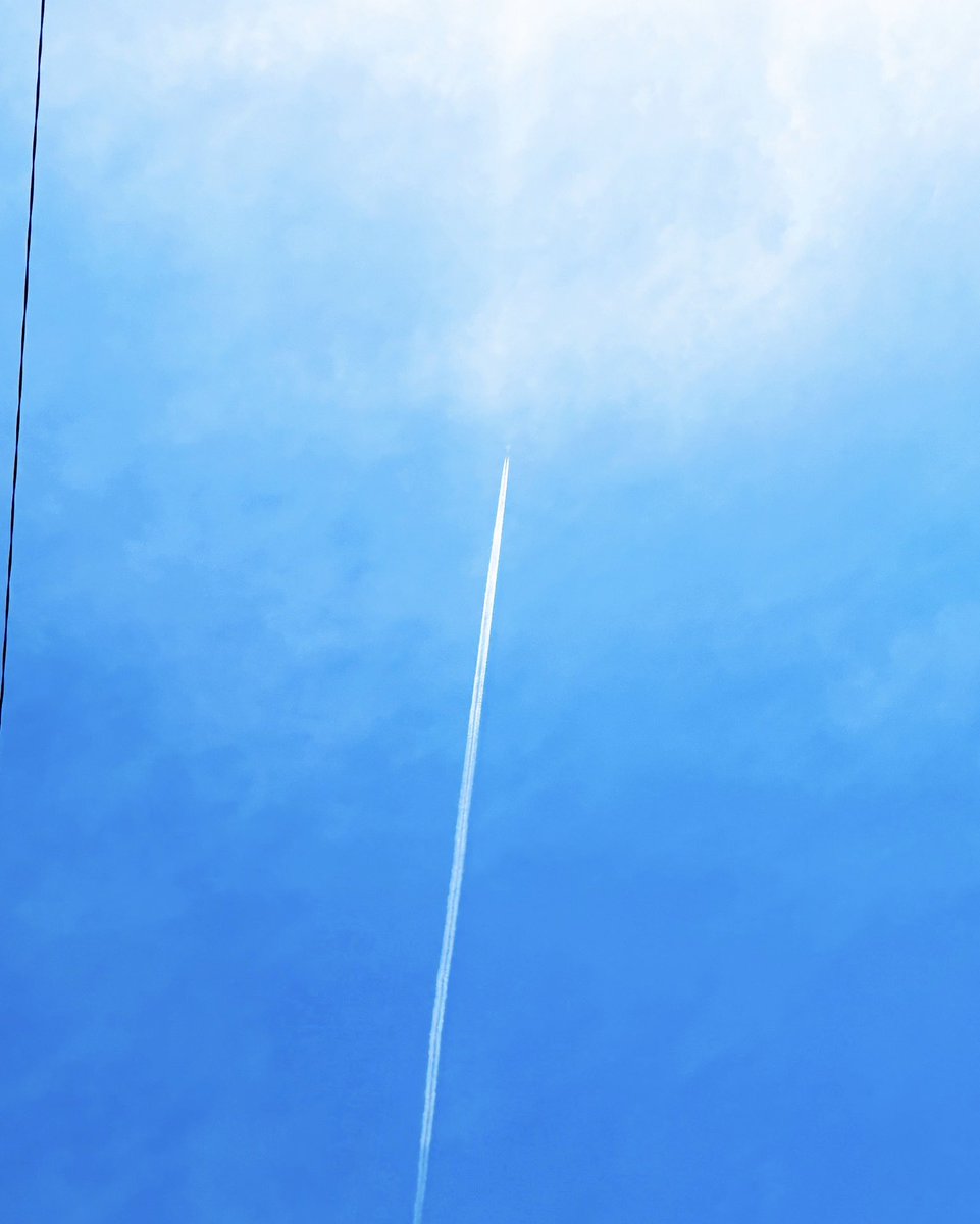 白無 もね(新人VTuber)イラストレーター tweet media