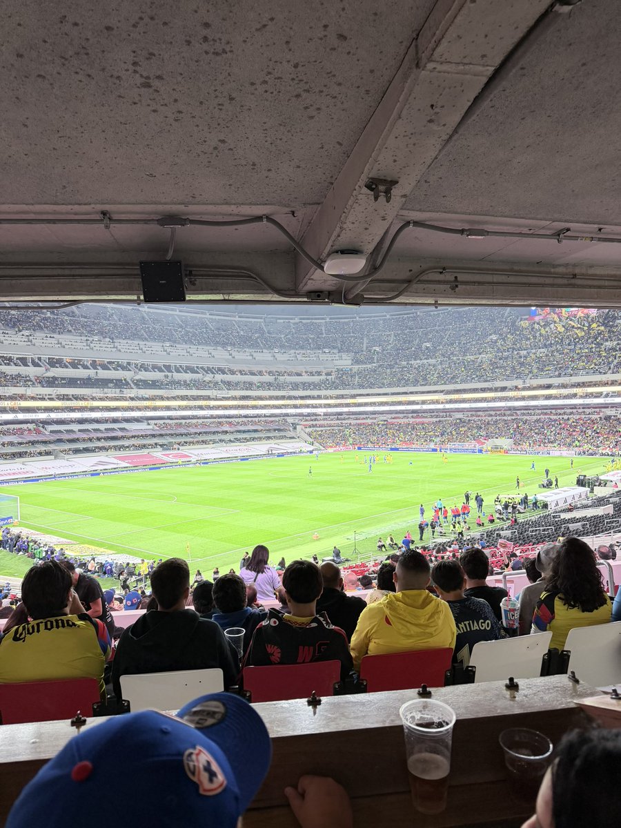 Sofia Yunes tweet media