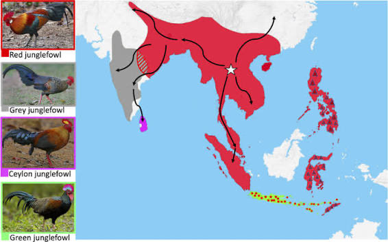 piwke lafkenche🪶 tweet media