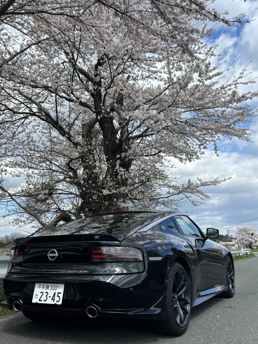 苔抹茶 tweet media