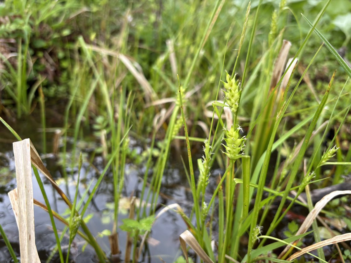 BNG🔔東2ち68ab tweet media