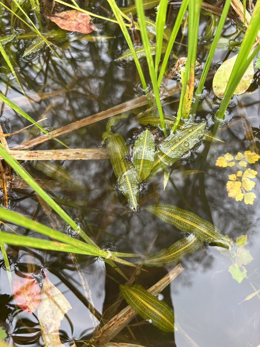 BNG🔔東2ち68ab tweet media