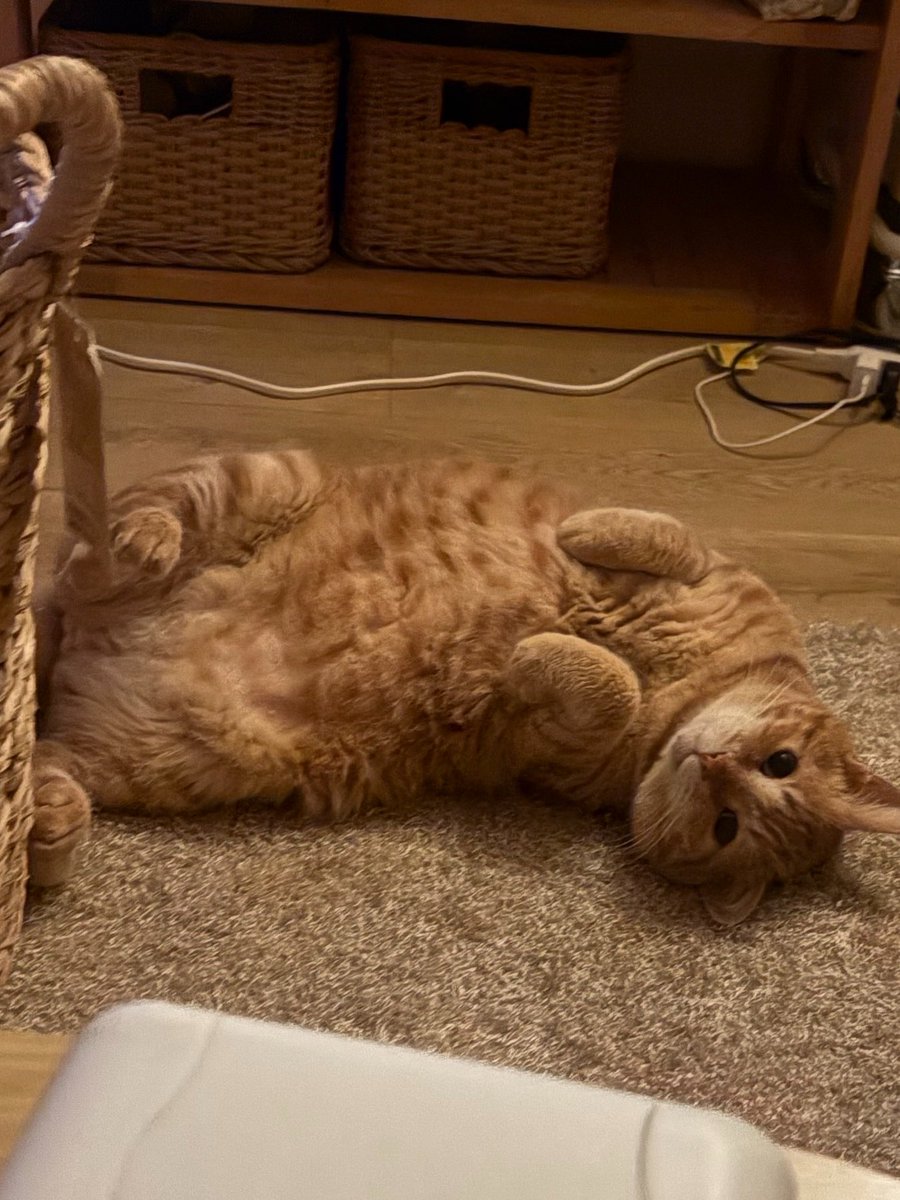 やむやむ(ദ്ദി⩌𖥦⩌) tweet media