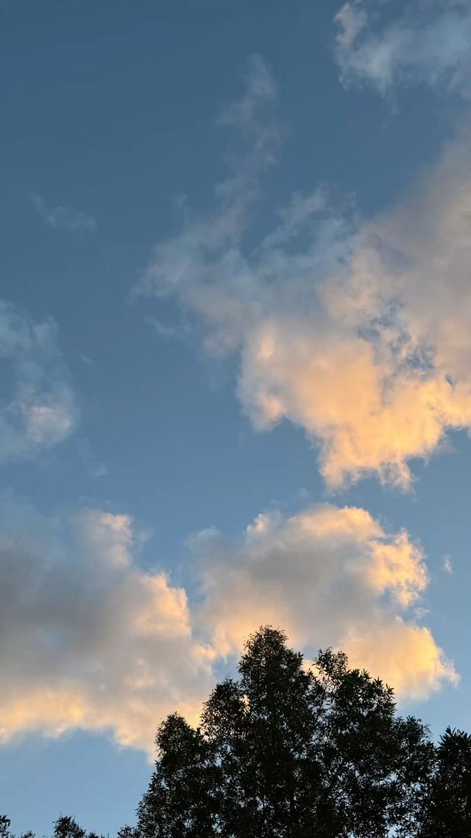 ❂ 𝔖𝔲𝔩𝔞𝔦𝔪𝔞𝔫 tweet media