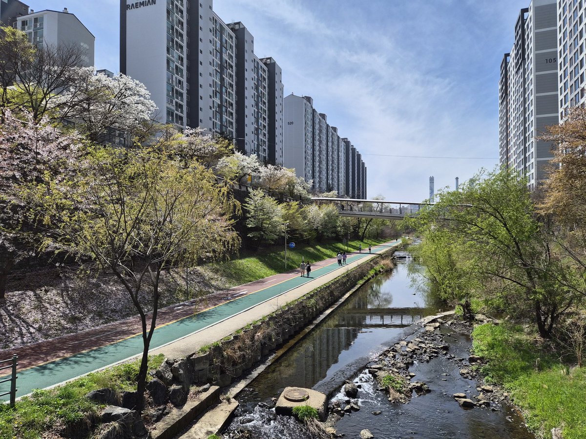 Inyeong Kim l SummerRain tweet media