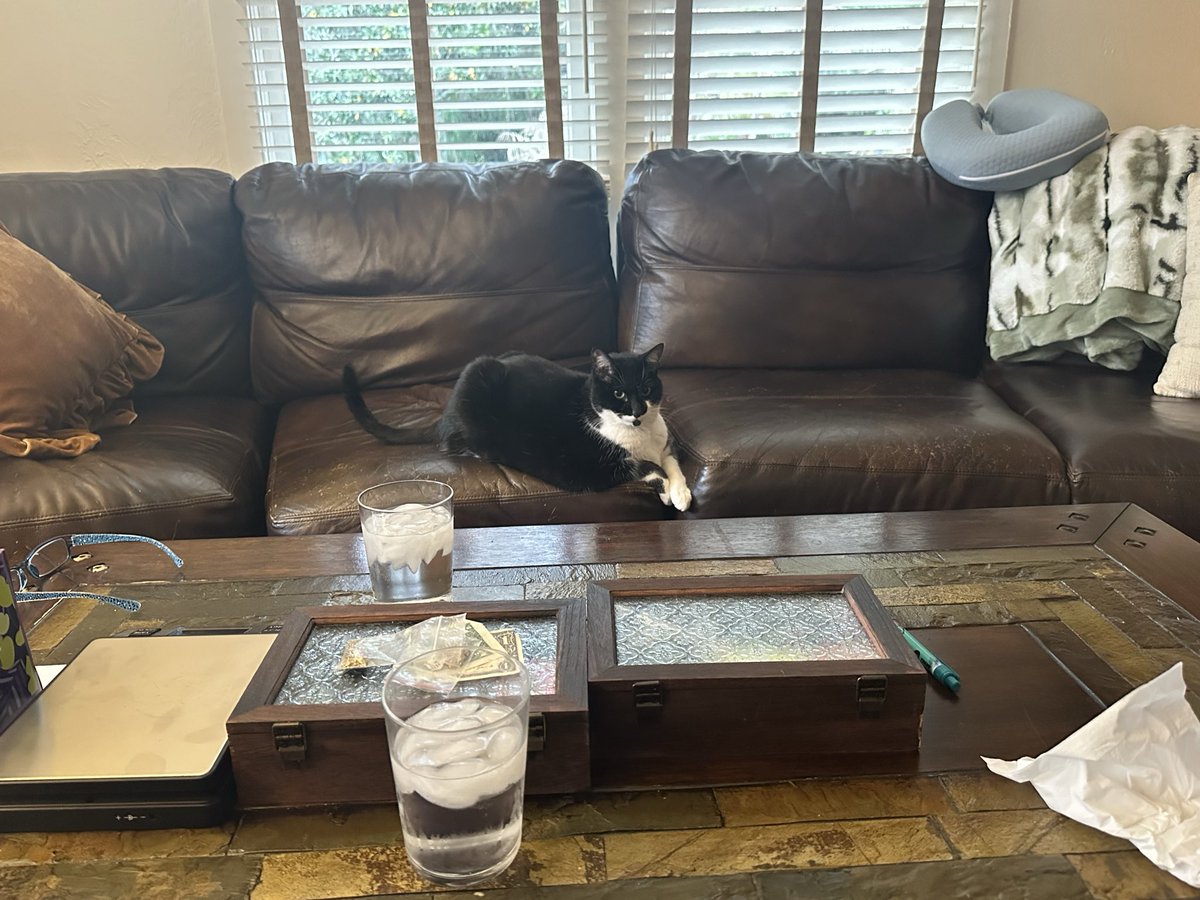 robot scorpion tweet media