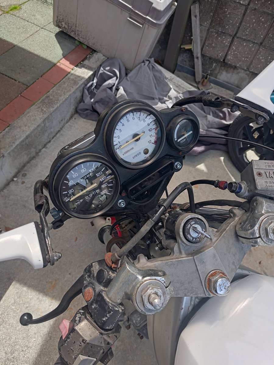 ゆゆえもん tweet media