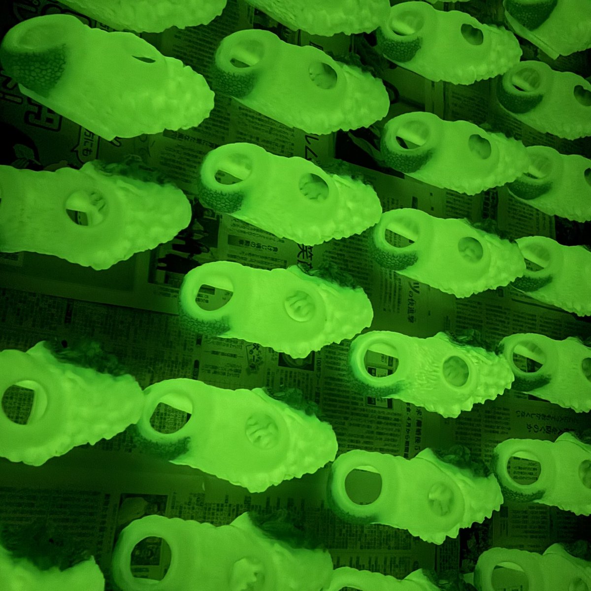 シバダンの冒険 tweet media