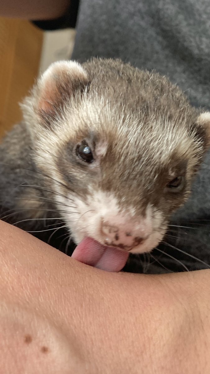 べろ〜😛