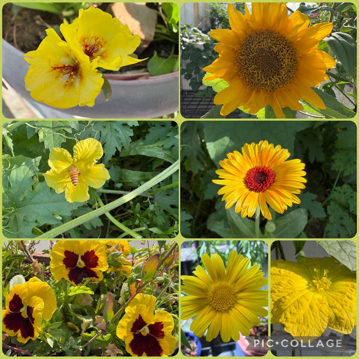 Rashi Grover 💜 tweet media