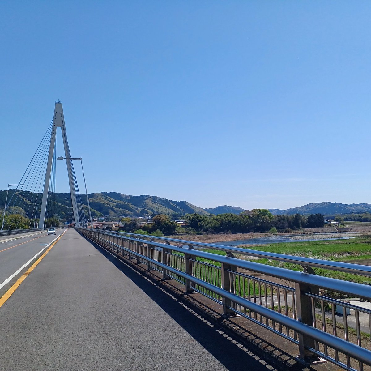 あずま🦉 tweet media