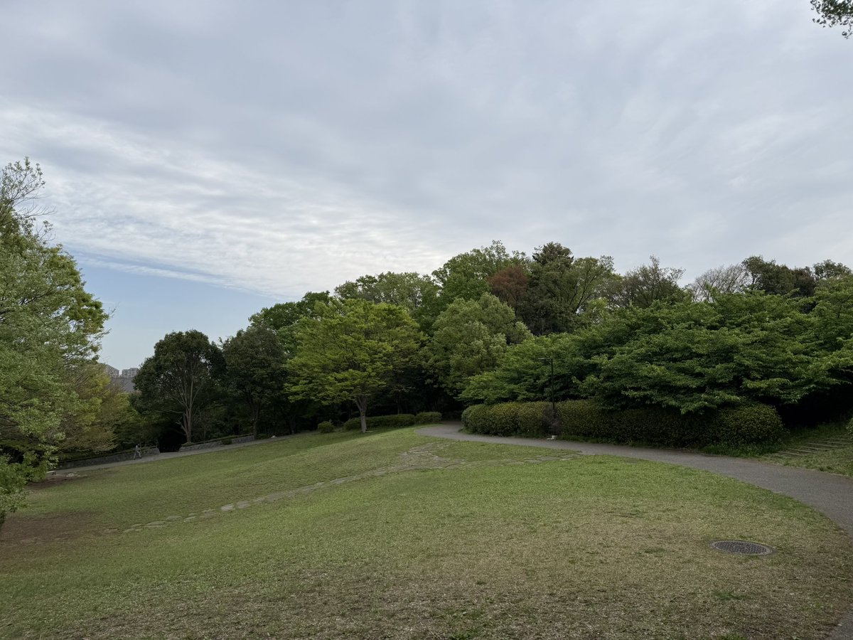 tsukui tweet media