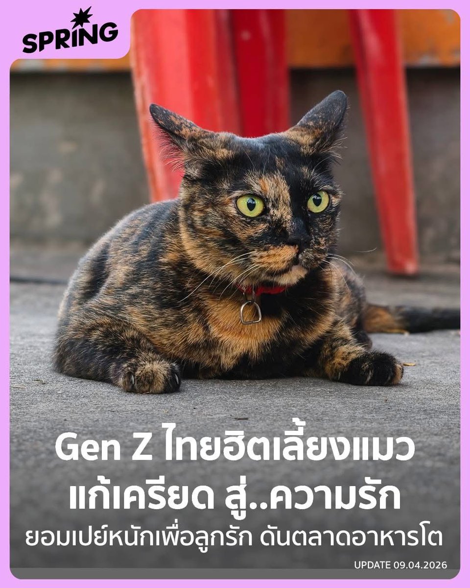 คือผมต้องทราบไหม 🐈‍⬛ tweet media