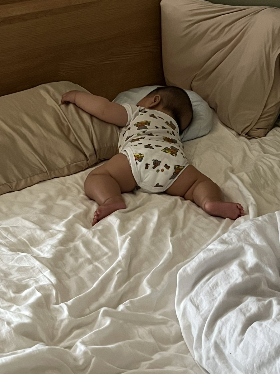 たぬき@電験2種一発合格目指す奴 tweet media