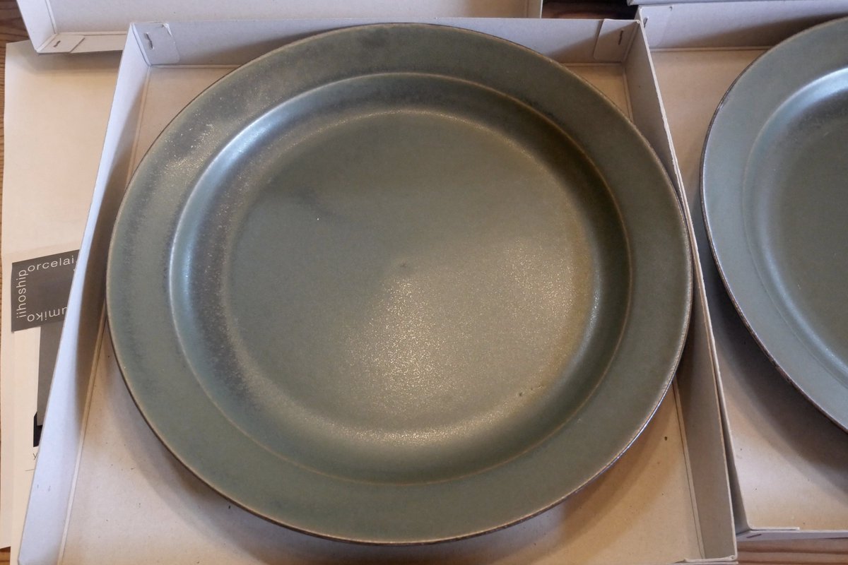 OXYMORON イイホシユミコ plate L 2枚 yumiko iihoshi porcelain