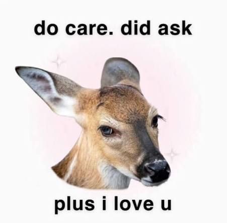 🏳️‍⚧️🏴Anxious Doe🏴🏳️‍⚧️ tweet media