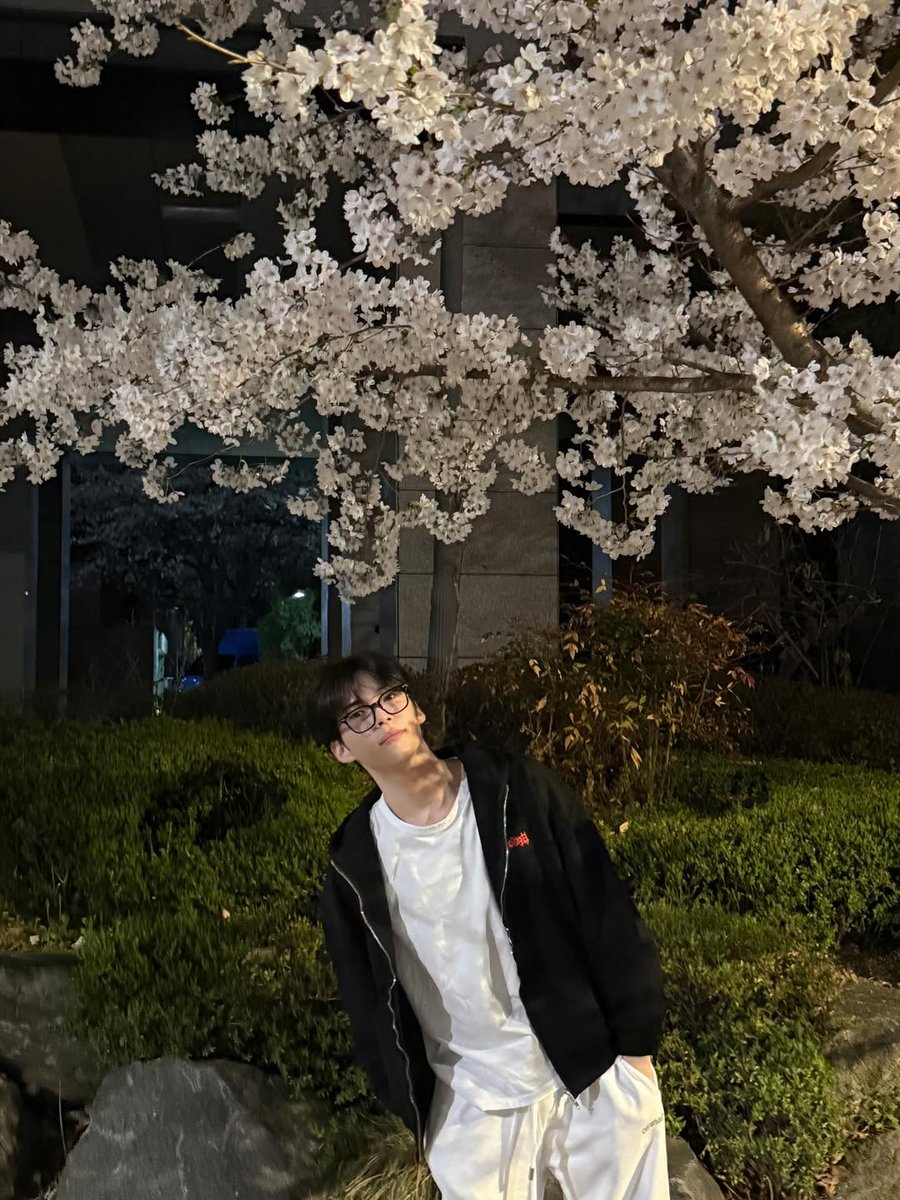 hanbin archive tweet media