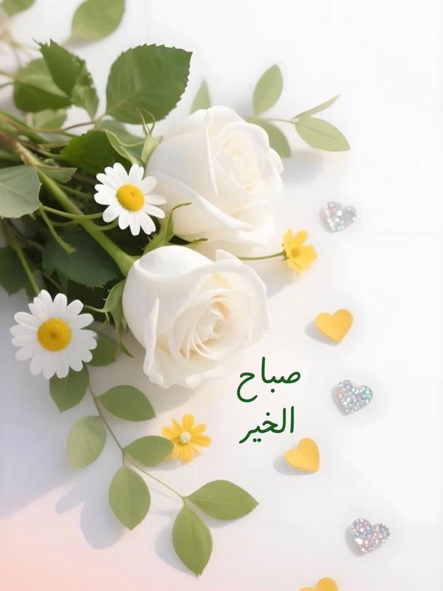 ضي ا لشمري .. tweet media