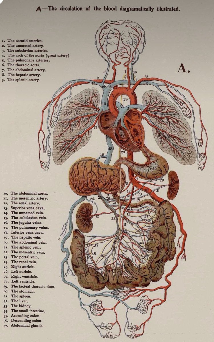 CardiovascularCorner tweet media