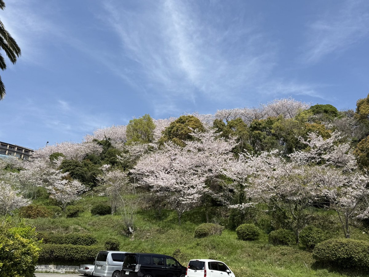 ばつ １個 tweet media