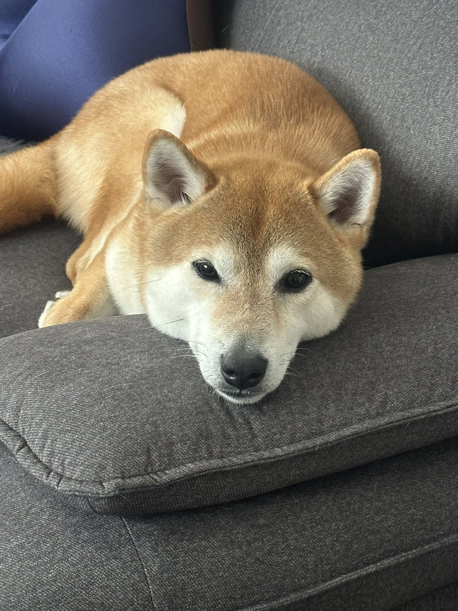 Dai @ベース弾き tweet media