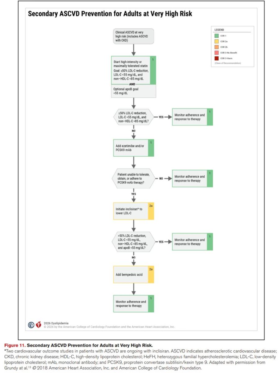 Rameses10  tweet media