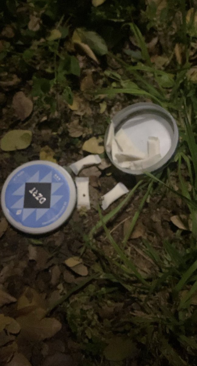 لوله🐰🐰 tweet media