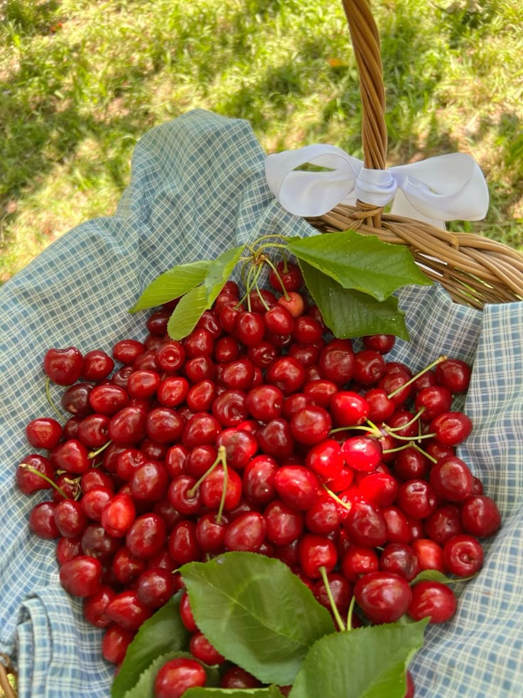 Think & Guess tweet media