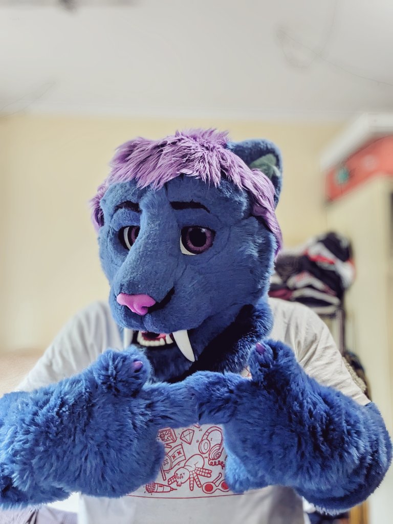 adenos 🔜 FurDu 2026 tweet media