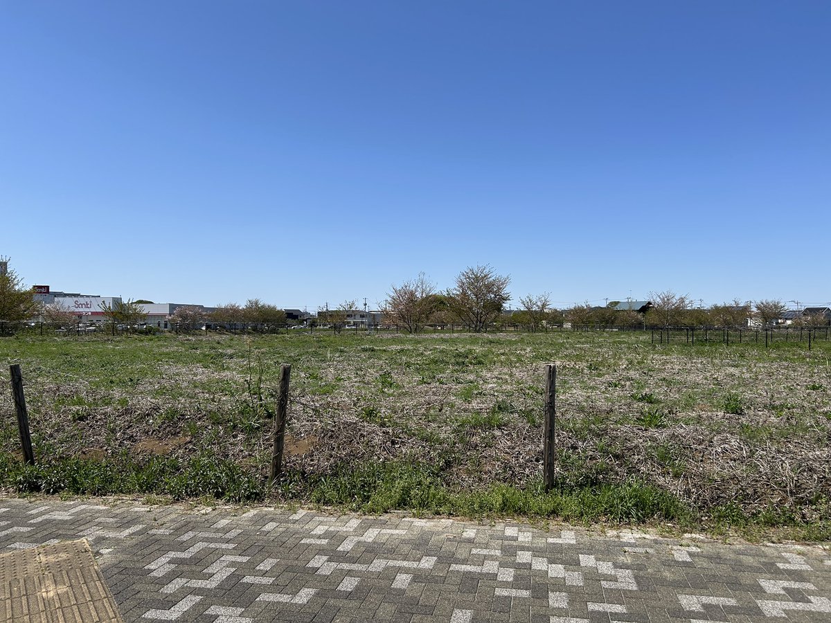 つくばであれこれ tweet media