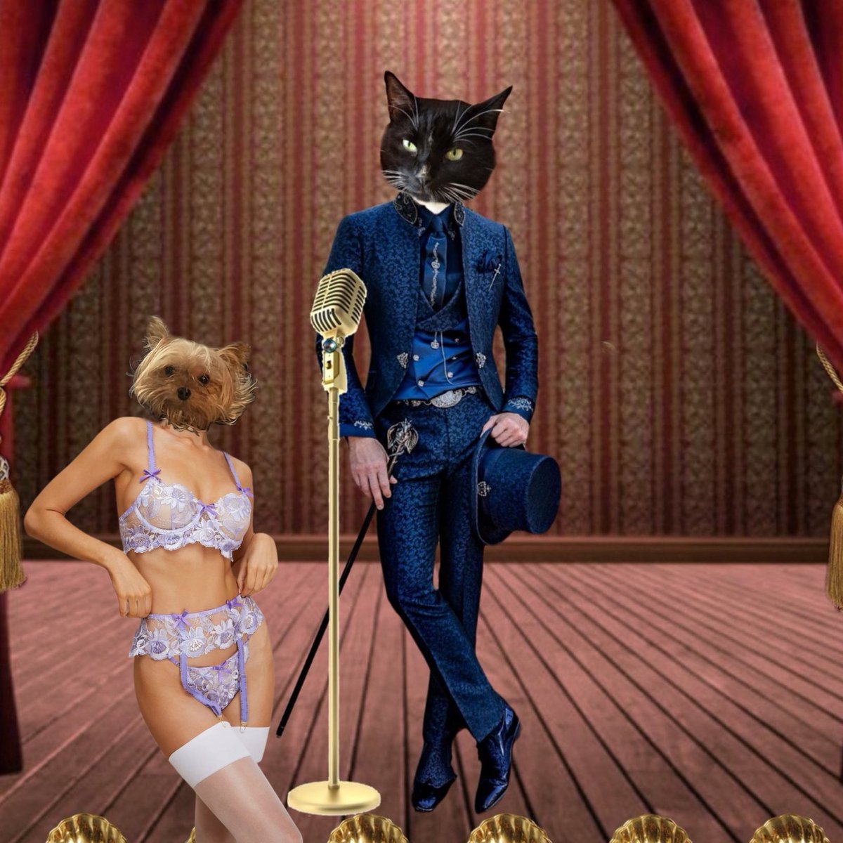 Foreveryorkiepups 🌻🧸🩶 tweet media